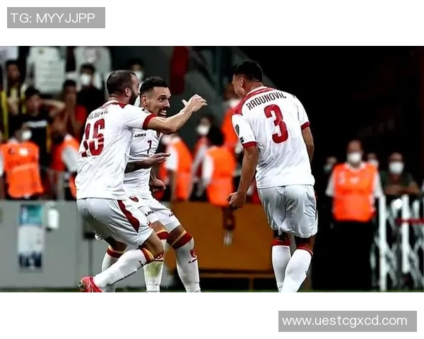 2019年保加利亚与黑山足球对决回顾及精彩瞬间分析